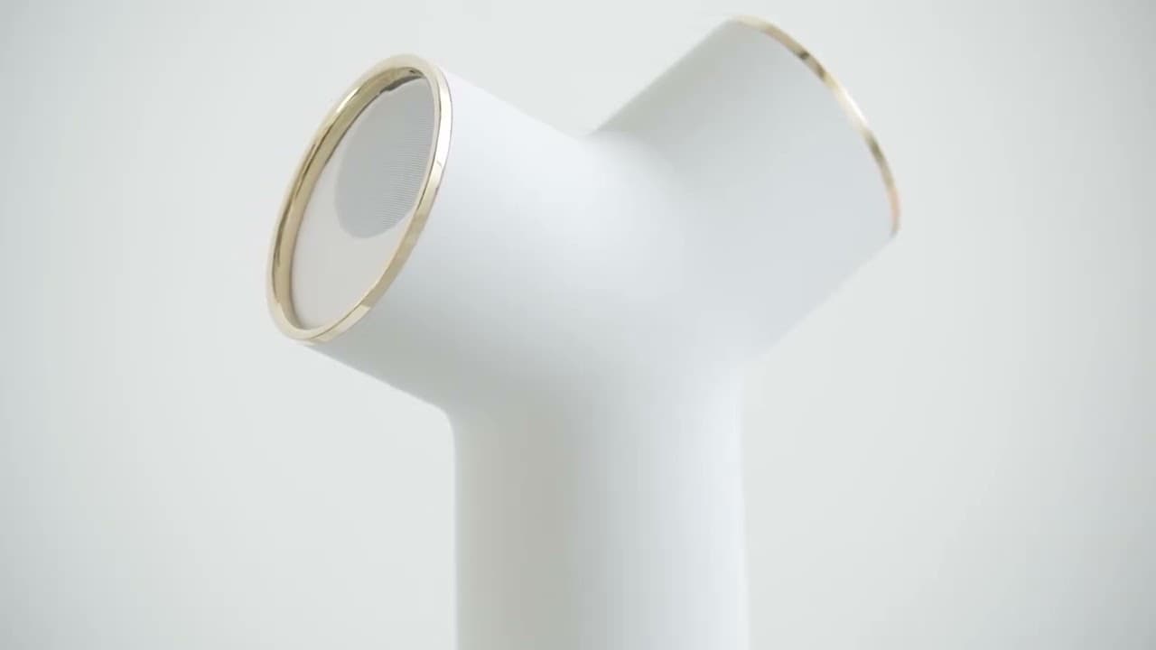 Y